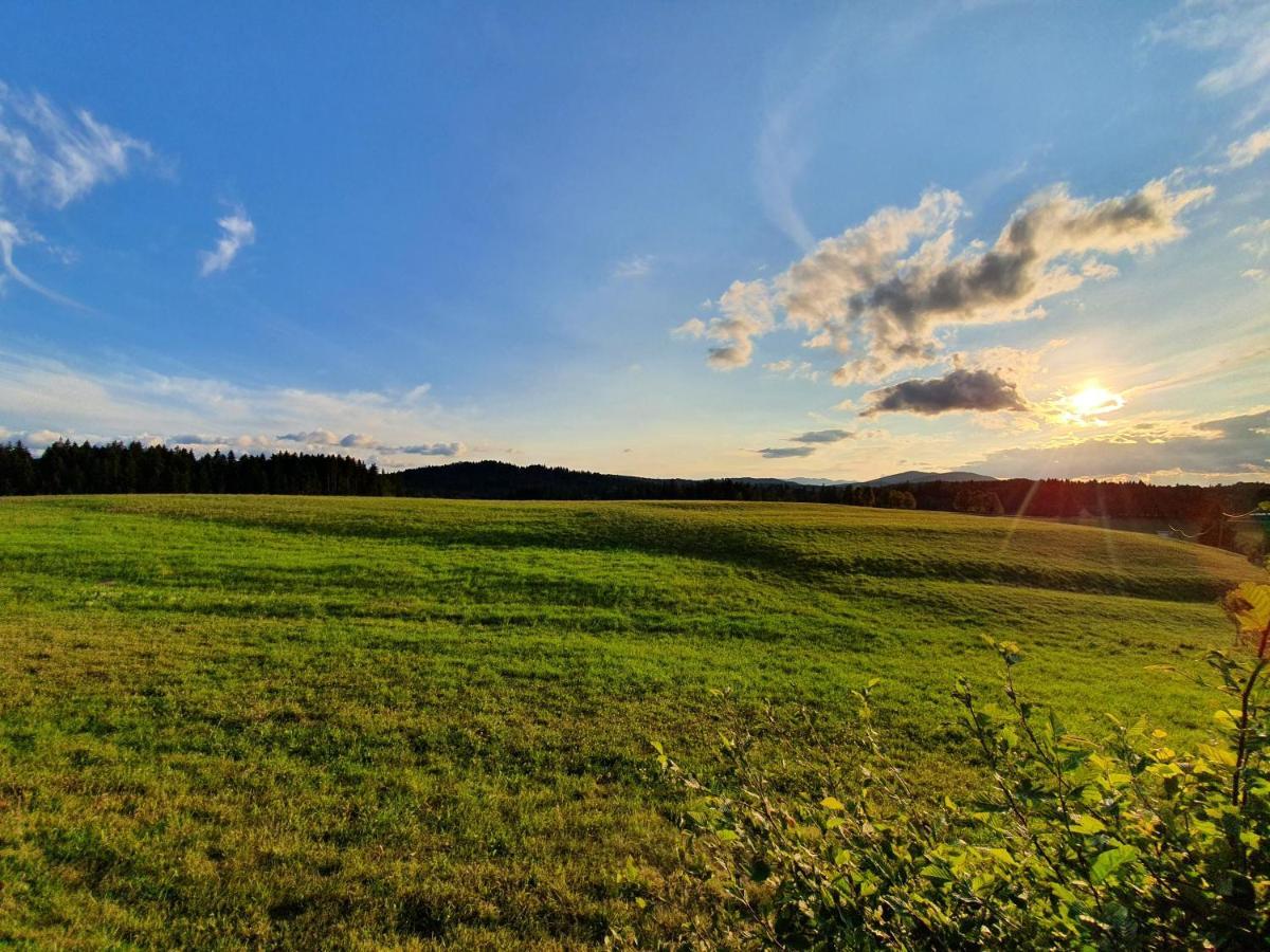 Apartma Sveti Duh Nova Vas  Exterior foto