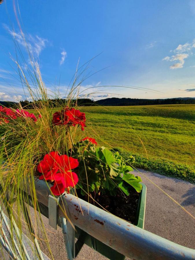 Apartma Sveti Duh Nova Vas  Exterior foto